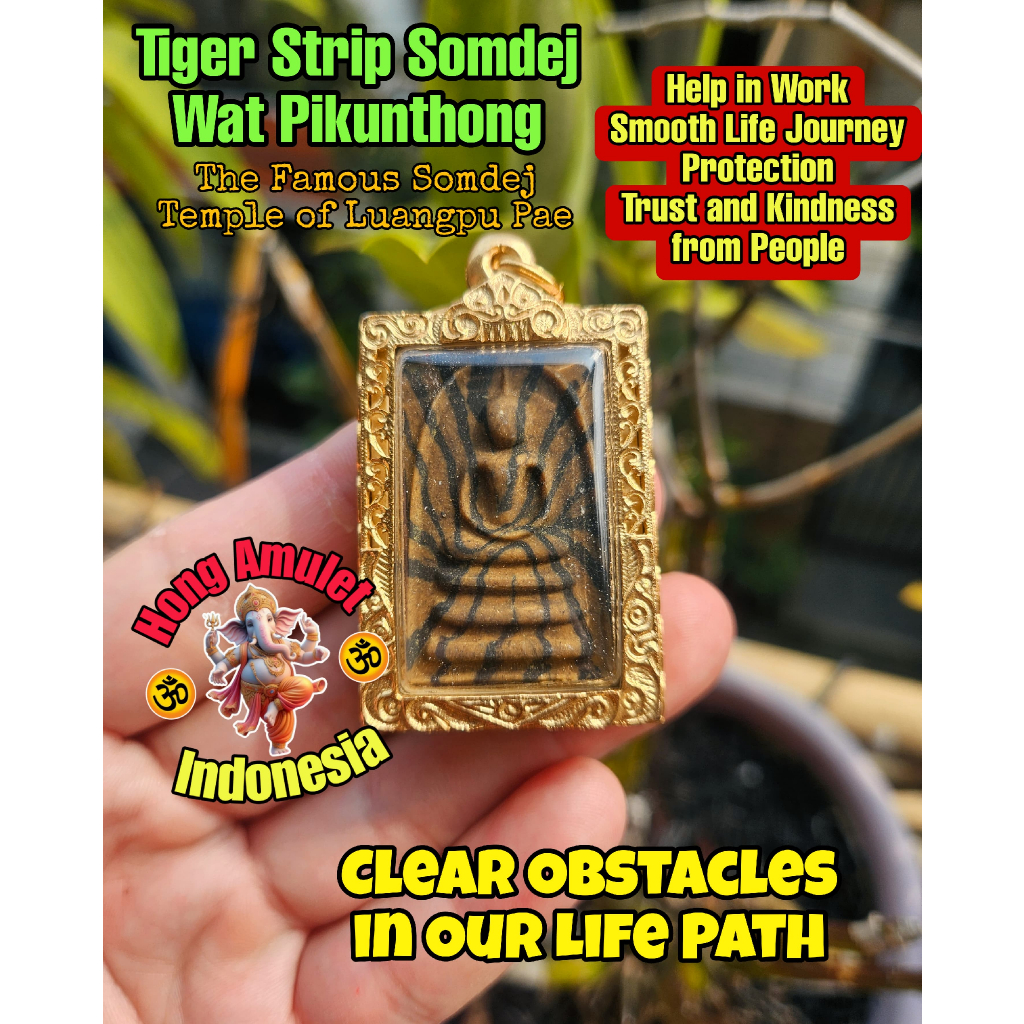Phra Somdej Tiger Strip Wat Pikunthong
