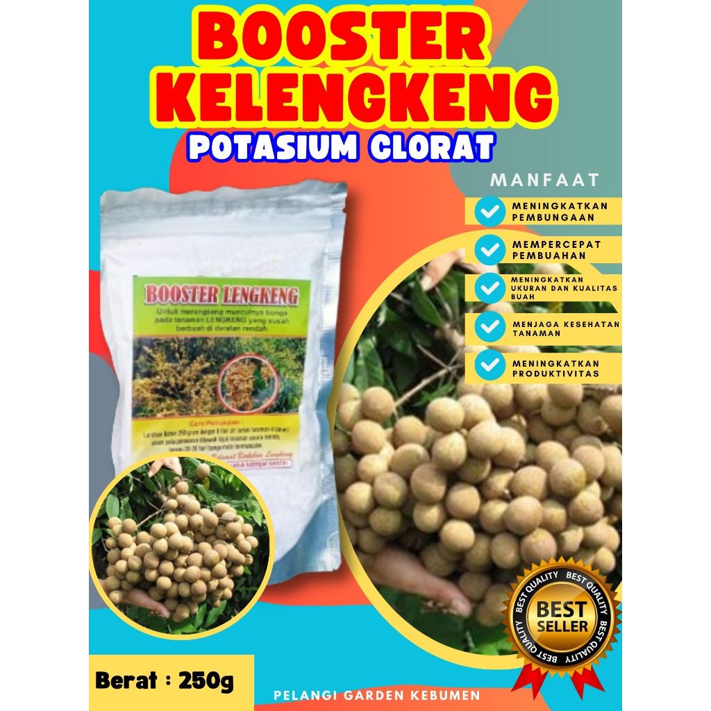 KUALITAS TERBAIK  Booster Kelengkeng Matalada Berbuah, Booster Kelengkeng Merah Cangkok Berbuah, Boo