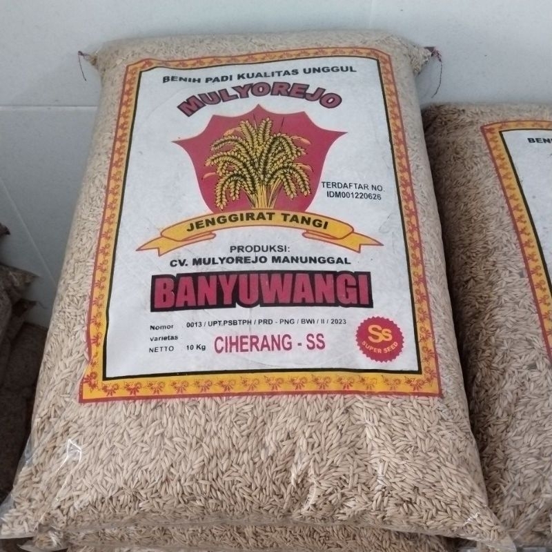 Benih Padi Ciherang mulyorejo kemasan 10kg
