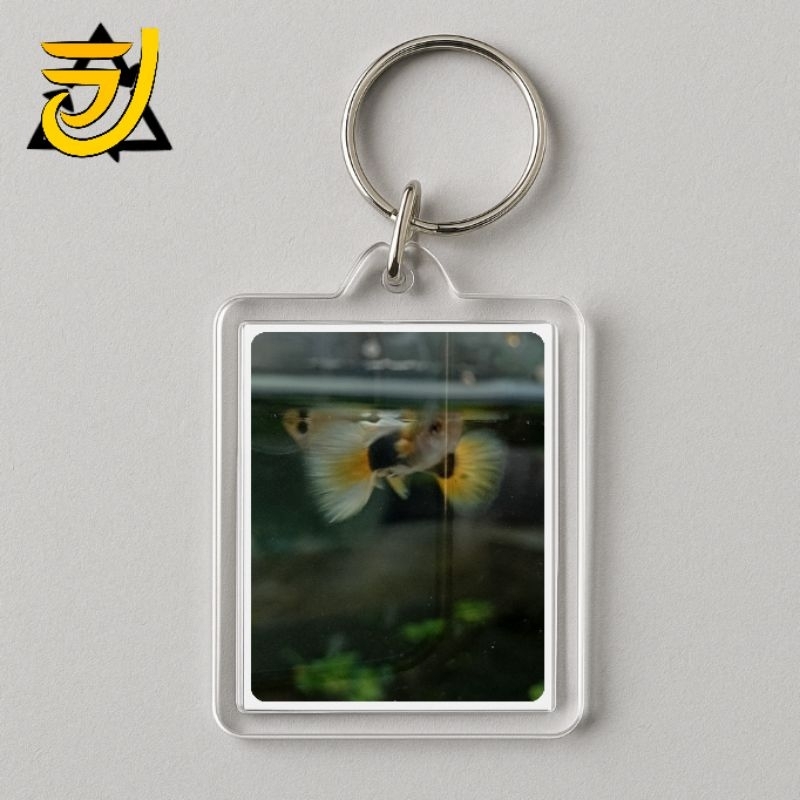 HIASAN GUPPY HB YELLOW PASTEL