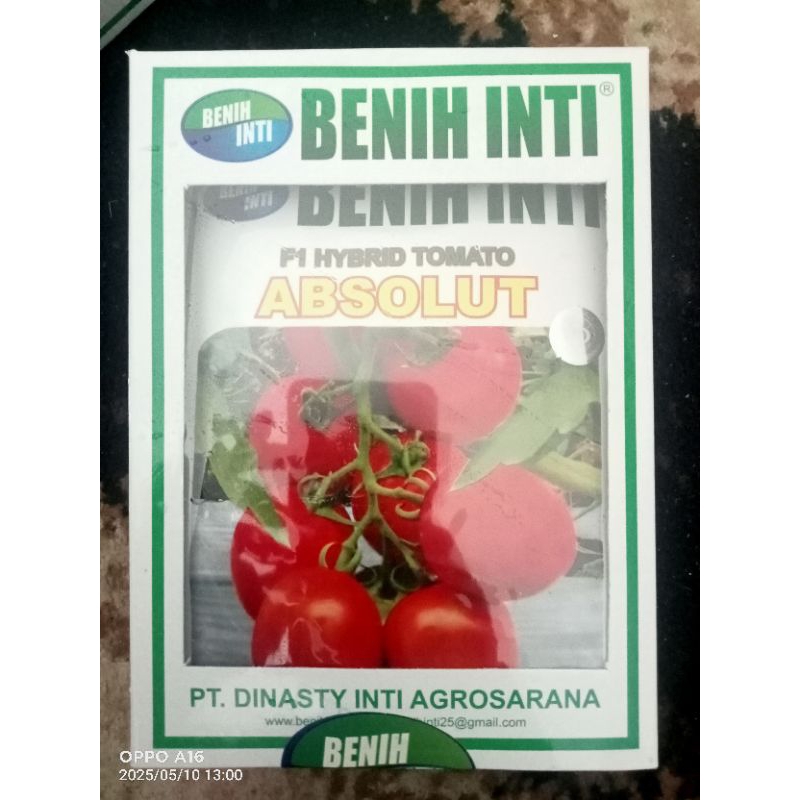 Benih Tomat ABSOLUT F1 Hybrid Tomato 10gr