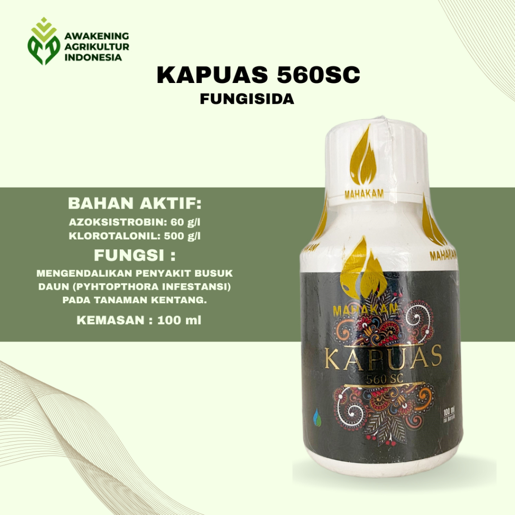 KAPUAS 560SC 100ML FUNGISIDA untuk mengendalikan penyakit hawar daun