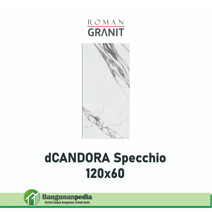 Granit Roman 120x60 decor / granite tile glossy 120x60