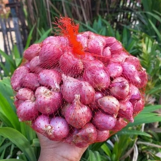BAWANG MERAH 1Kg