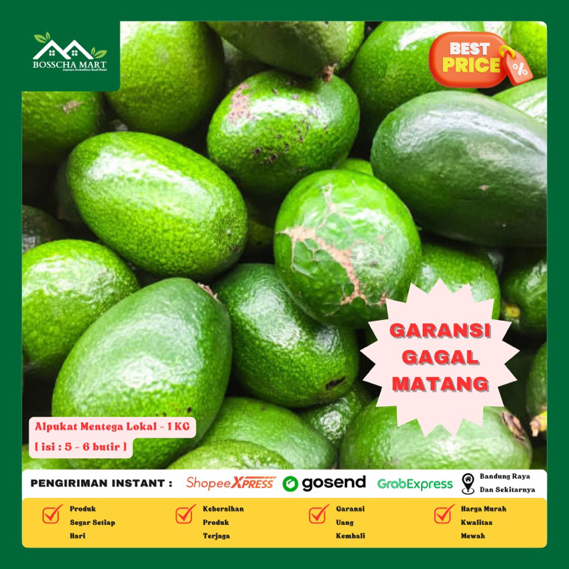 

Alpukat Mentega [ isi 5 - 6 Butir ] - Buah Alpukat Mentega