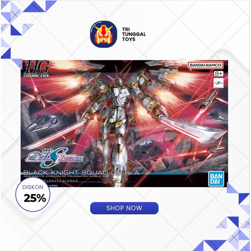 HG 1/144 Cosmic Era Gundam Seed Black Knight Squad CAL-RE.A Gundam Bandai