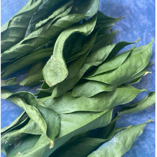 daun mahkota dewa kering 250 gr /mahkota dewa daun kering