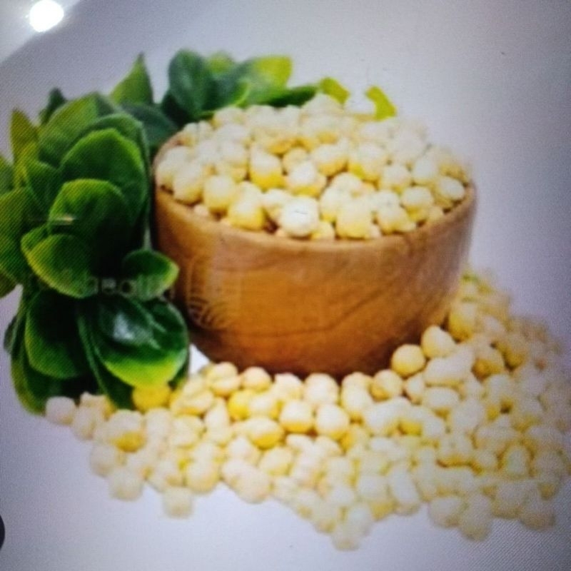 

Kacang Arab Original