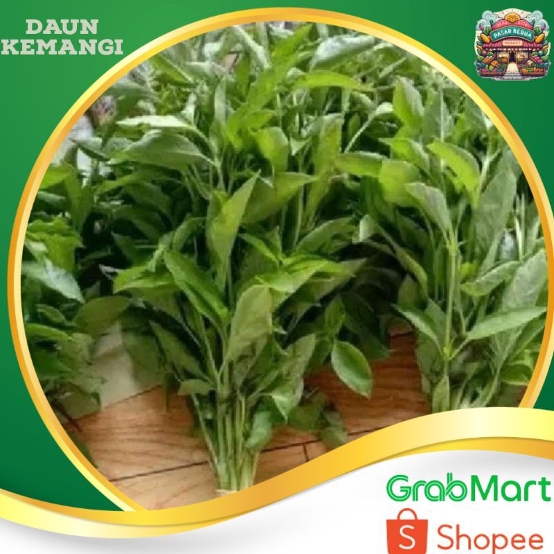

Daun Cemangi / Kemangi ~ Murah Pasar Induk Daring