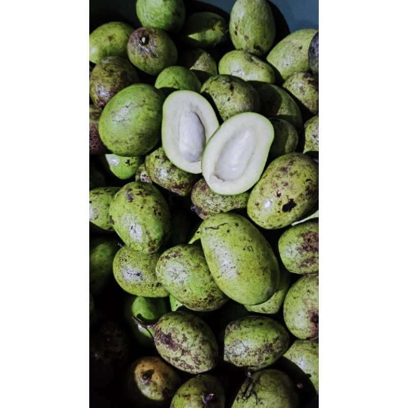 

Ampalam/Asam/Mangga muda Campuran