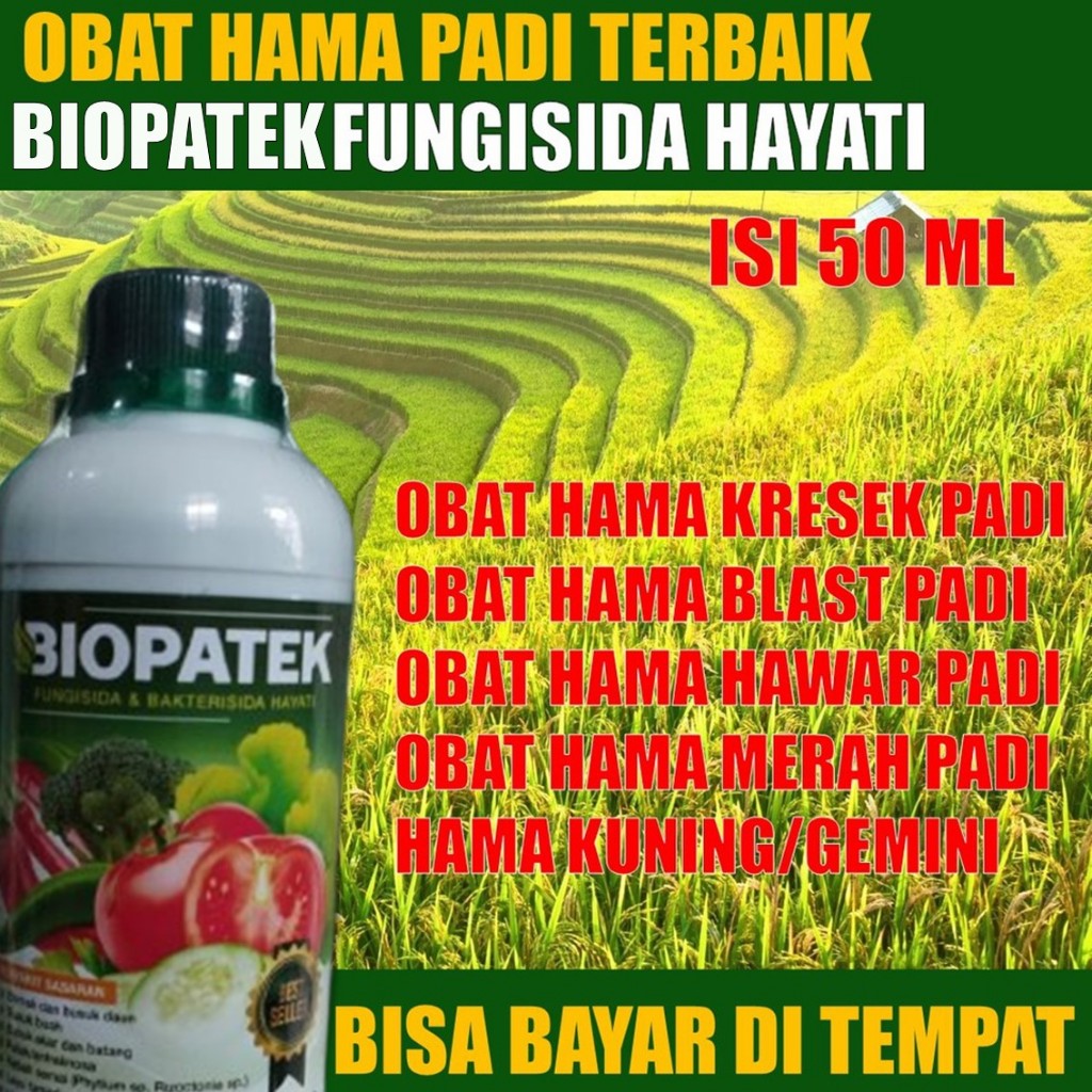 BIOPATEK Fungisida Hayati Obat Hama Tanaman Padi Sawah, Anti Kresek dan Blast Padi, Obat Hama Sawah