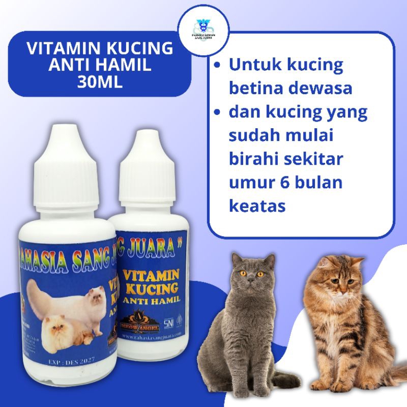 Vitamin kucing anti hamil