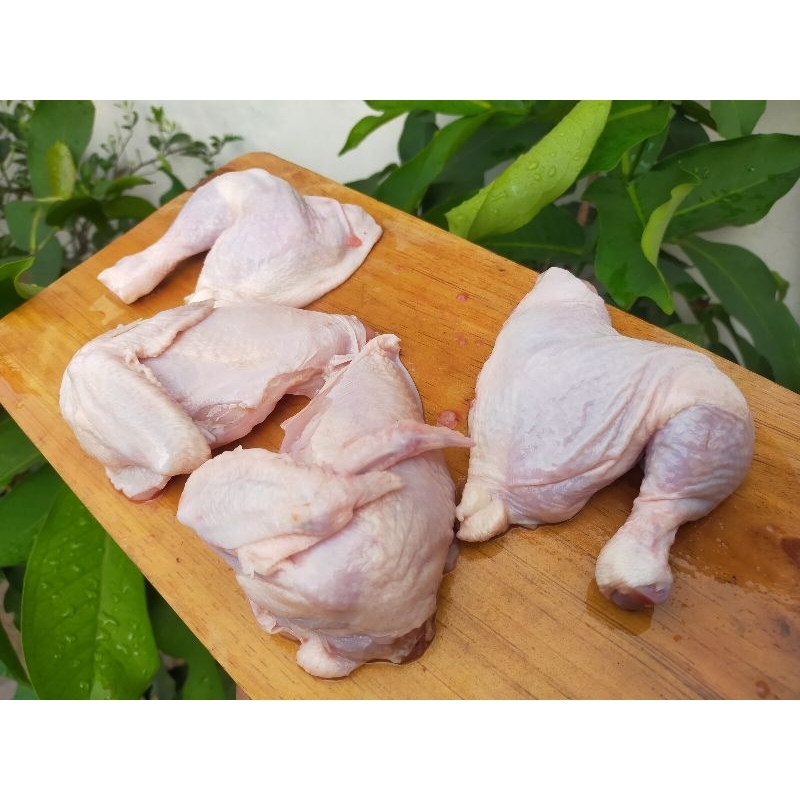 

Ayam Broiler 06 - 07 kg Utuh / Potong