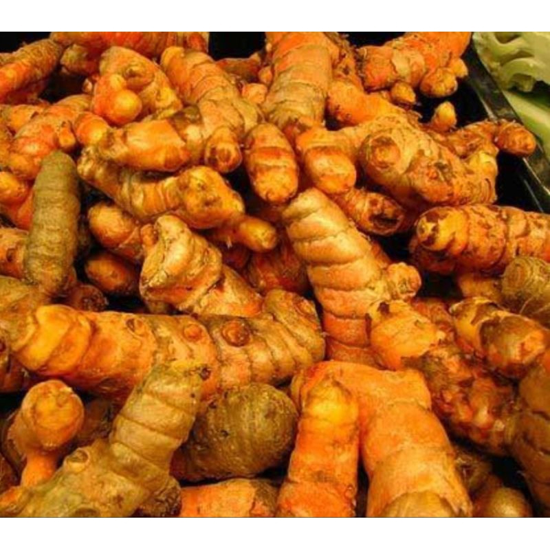 

kunyit segar 500 gram