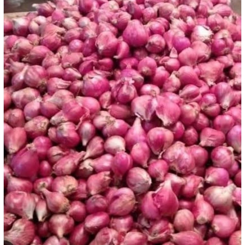 

Bawang Merah 1 bungkus
