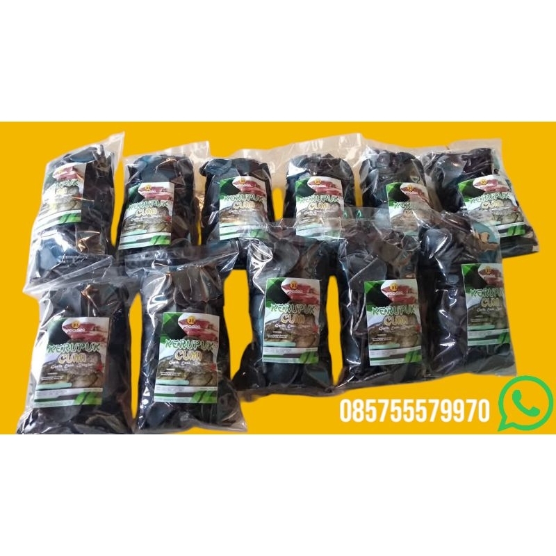 

Kerupuk Cumi Sundra Mentah Asli Khas Pantura, 500gr, 1000gr, Enak Gurih