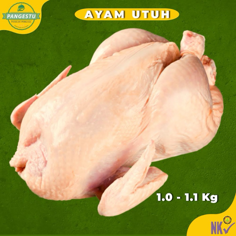 

Ayam Potong Broiler Karkas Utuh tanpa kepala dan Ceker