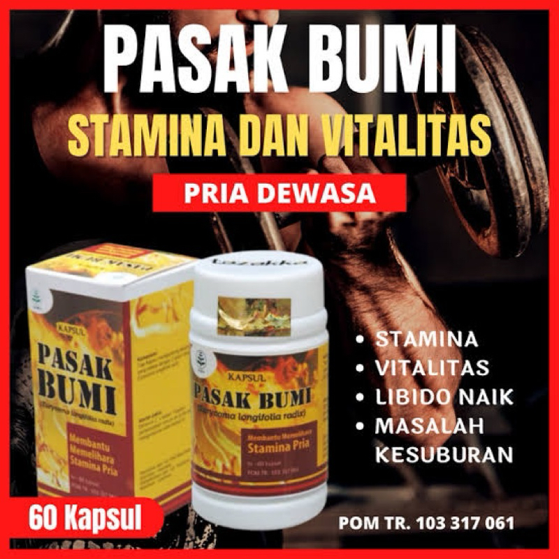 KAPSUL PASAK BUMI 60 KAPSUL