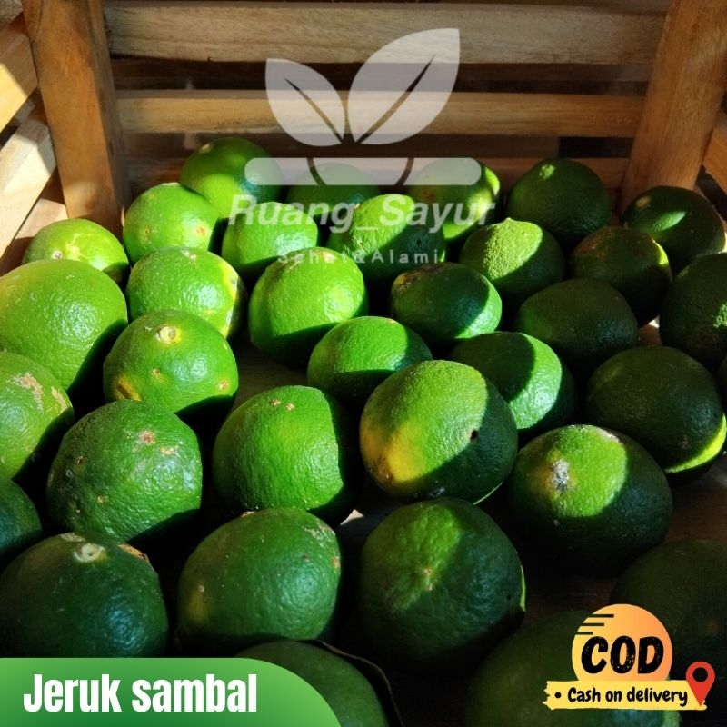 

Jeruk Nipis , Jeruk Sambal 1 kg , Jeruk Nipis Segar