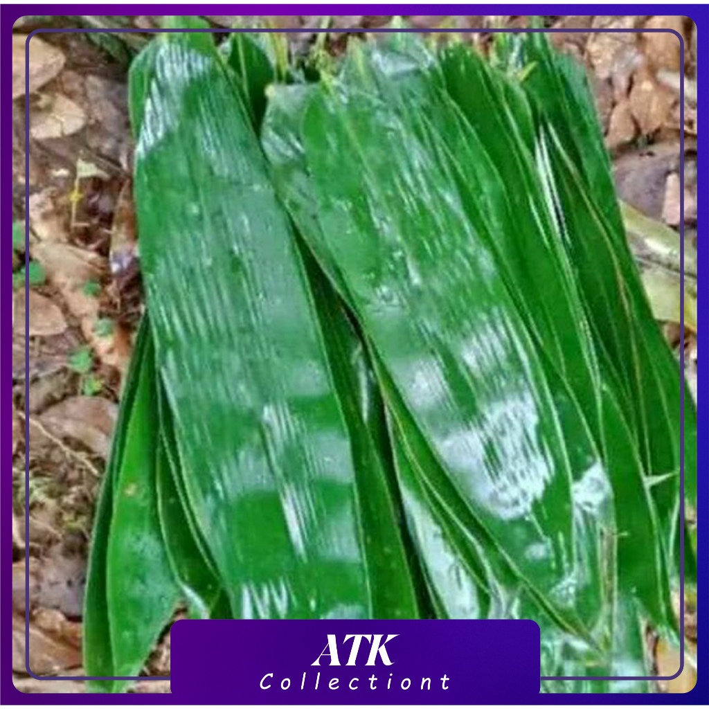 

daun bambu jumbo bungkus bakcang / daun bacang 100 lembar