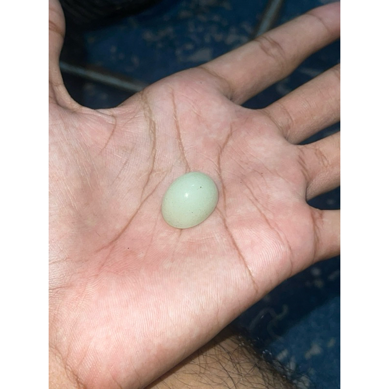 Bagu akik atau Batu Fosfor Alami Menyala Dalam Gelap (Glow in the Dark)