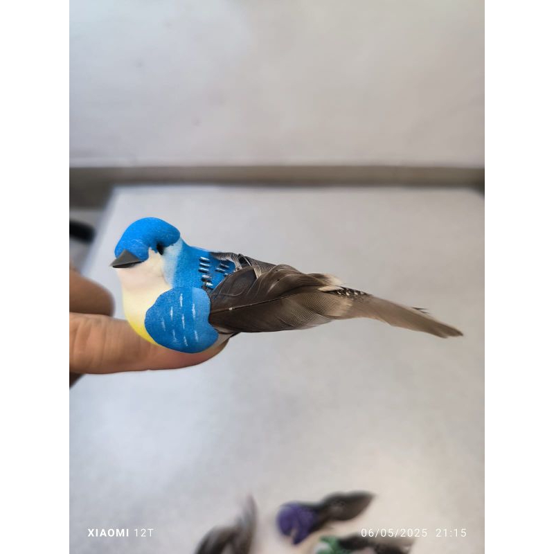 jepitan rambut burung pipit warna untuk hiasan