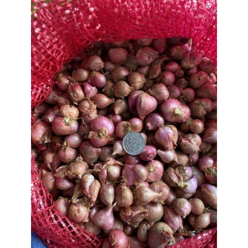 

(1000gr) bawang merah sulawesi super kering (Q)