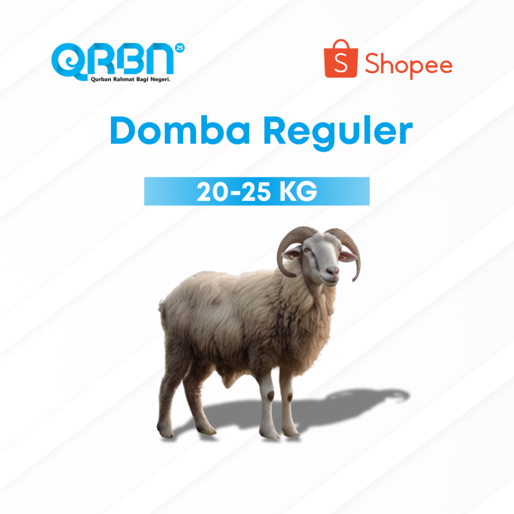 

Sahabat Yatim - Qurban Nusantara 2025 - Kurban Domba