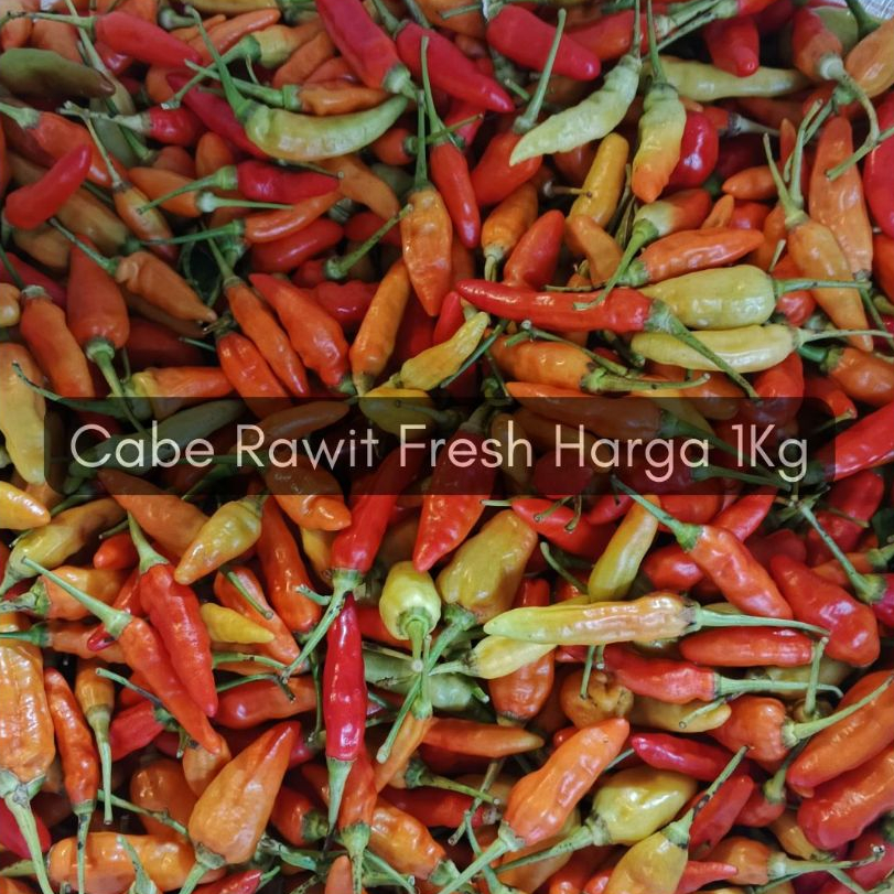 

Termurah Cabe Rawit fresh segar 1kg / cabe rawit merah 1kg fresh segar dijamin / lombok rawit merah fresh segar 1kg [ panen setiap hari langsung dari petani ]