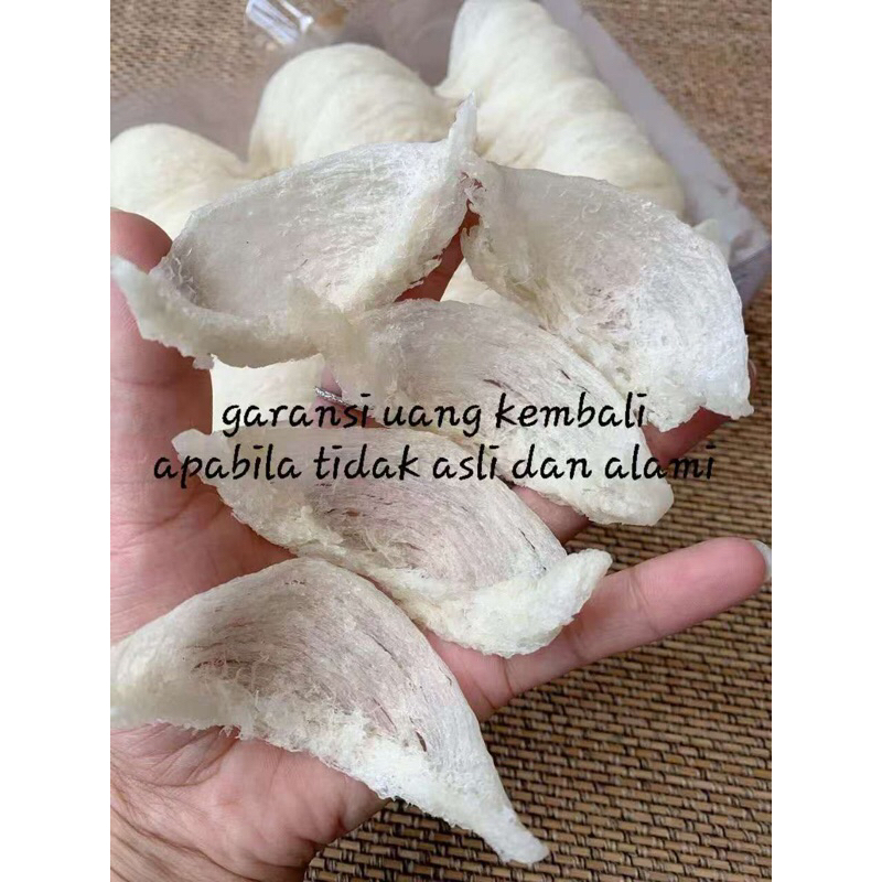 

Sarang Burung Walet Mangkok Kecil Bersih Proses Alami Natural 100 gram