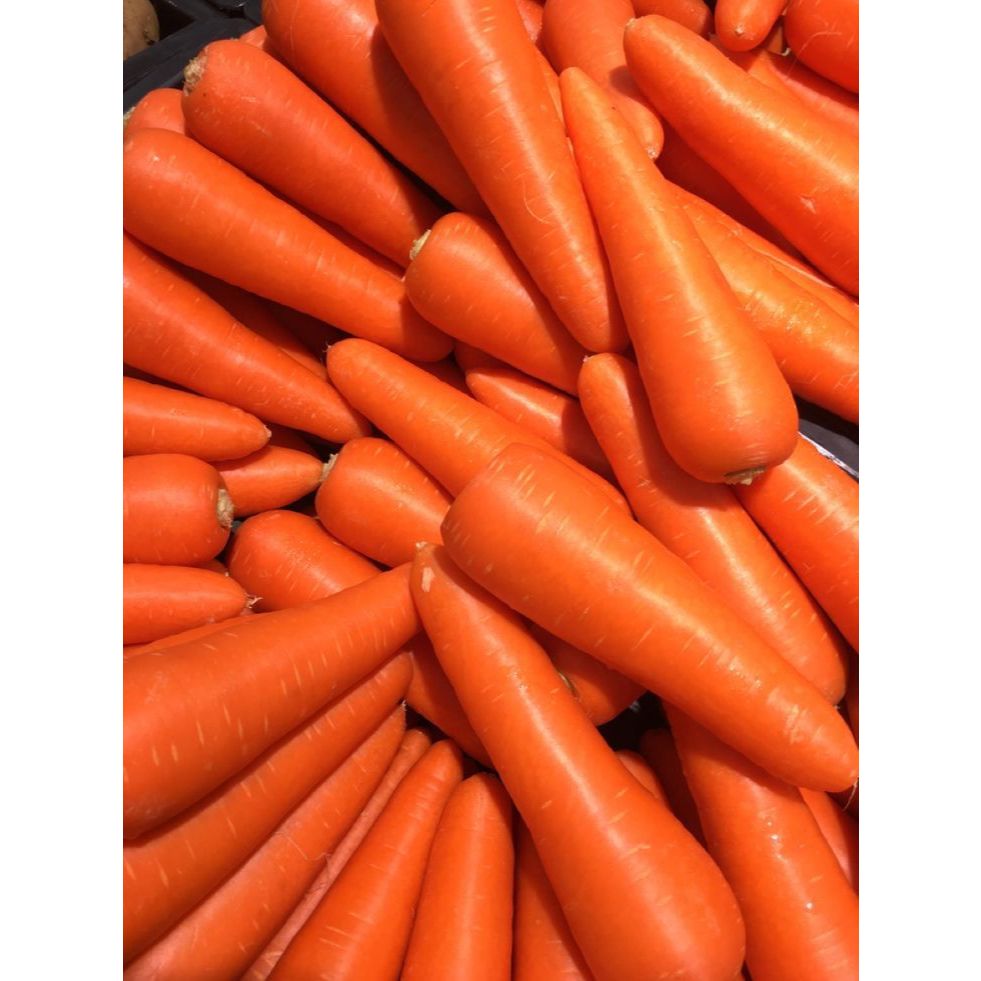 

WORTEL MEDAN 250g 500g 1kg