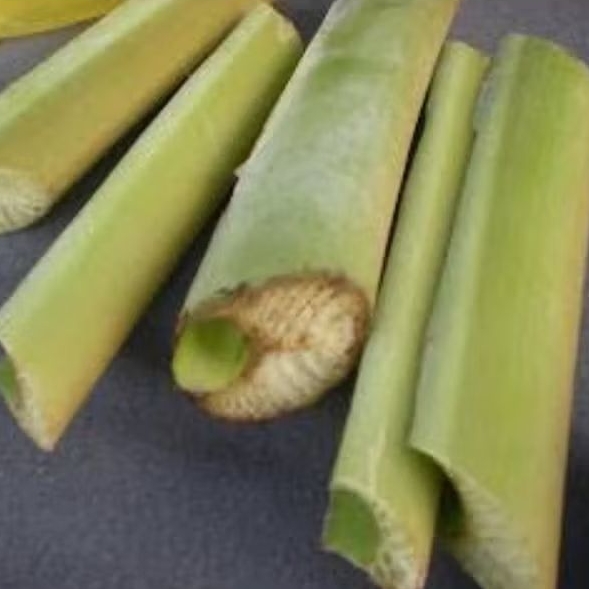 

Pelepah pisang segar 1 kg panjang 50cm