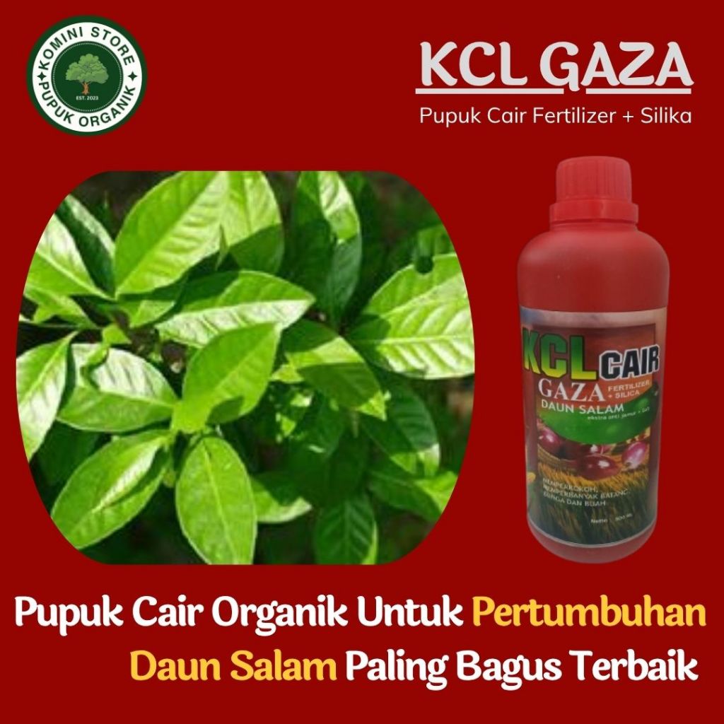 KCL Gaza 500ML Pupuk Cair Organik Untuk Pertumbuhan Daun Salam Paling Bagus Terbaik