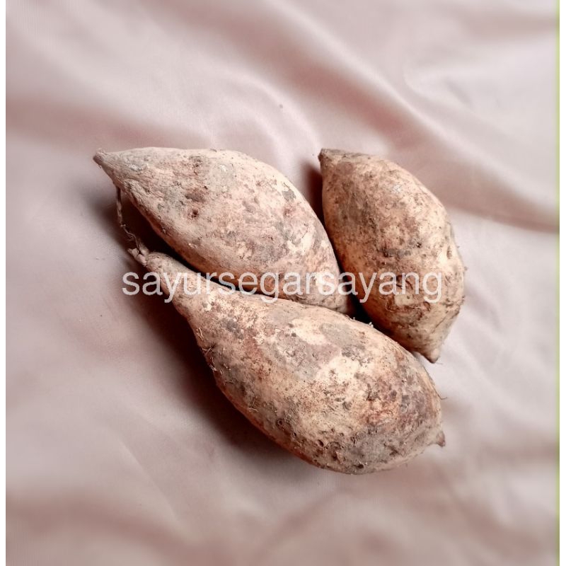 

Ubi Putih / Ubi Merah / Ubi Ungu / Ubi Jalar 1 KG