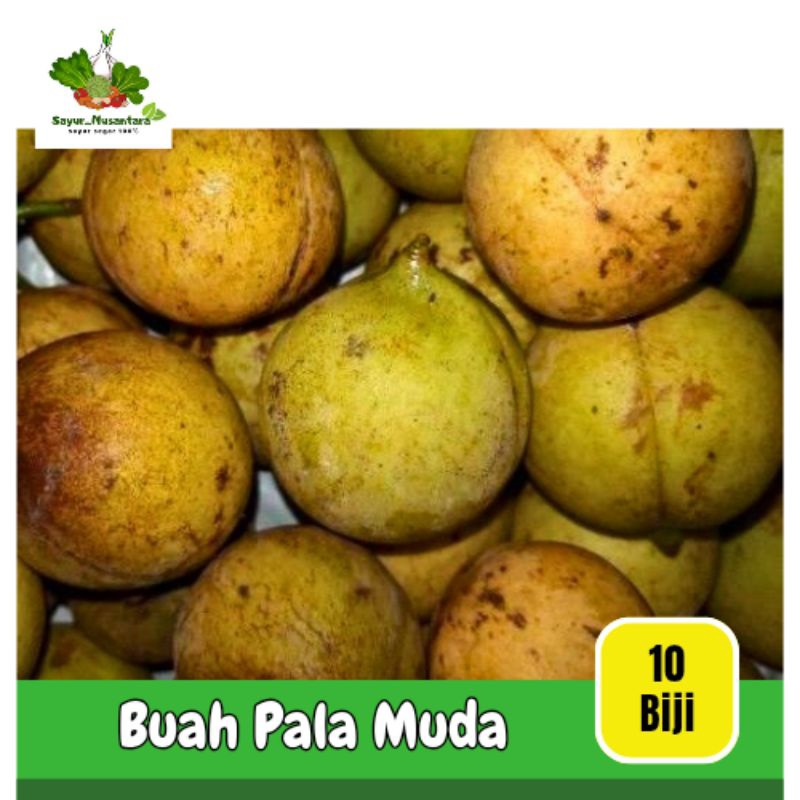 

Buah Pala Muda [10 biji]