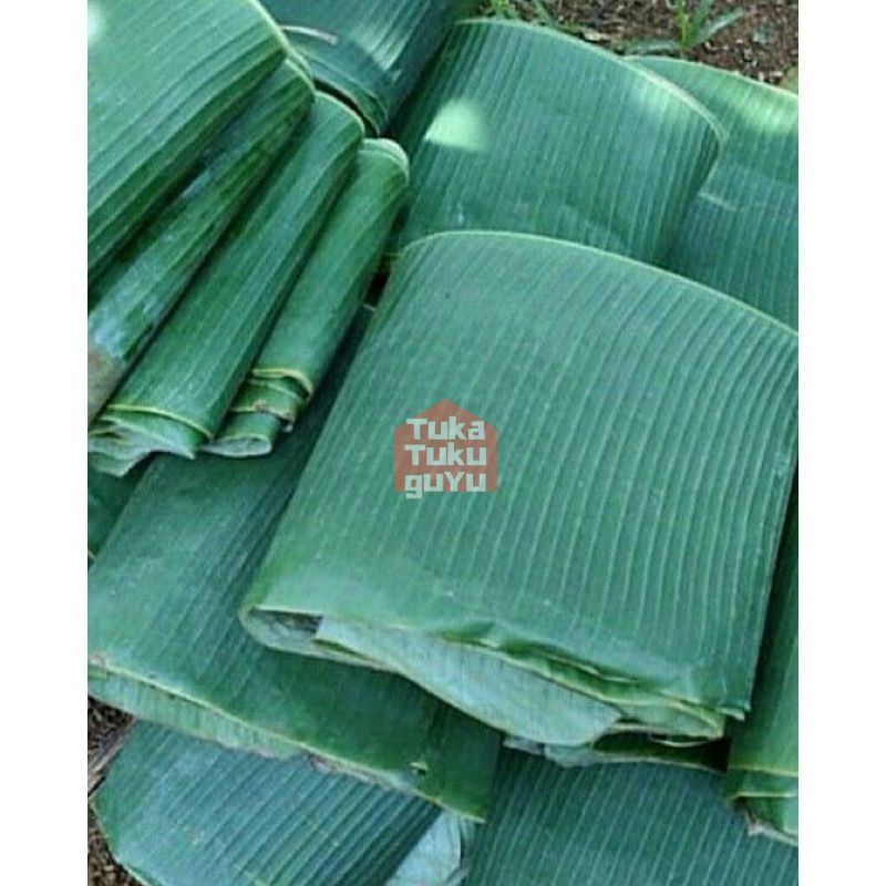 

Daun Pisang Segar Berat 1 Kg