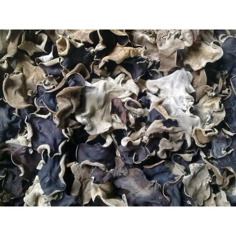 

Jamur Kuping Kering Super Asli