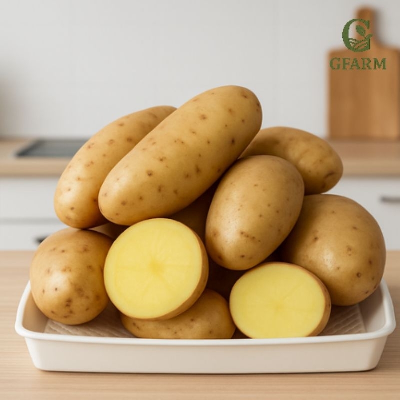 

Kentang Dieng Super 0,5kg – Segar & Berkualitas Premium