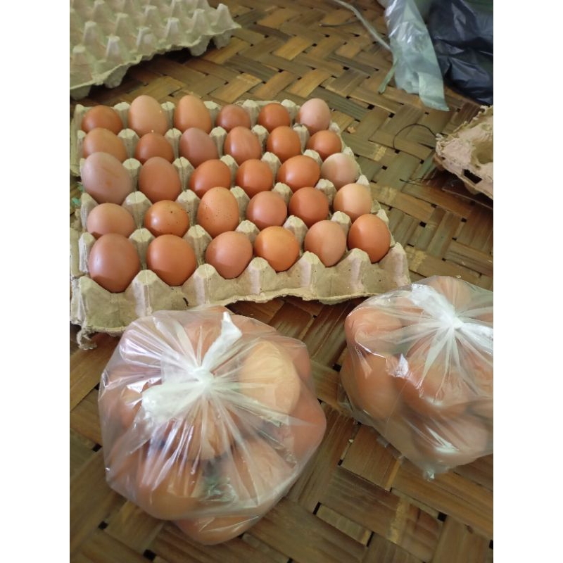 

Telor ayam 1kg termurah