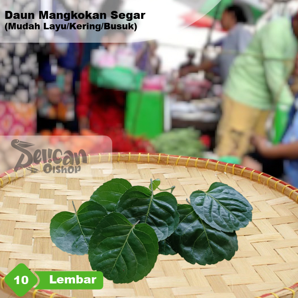 

Daun Mangkok Mangkokan Mamangkokan Polyscias Scutellaria Nothopanax Seupan Lalapan Rebus Bungkus Pindang Tahu Obat Herbal Penyubur Rambut