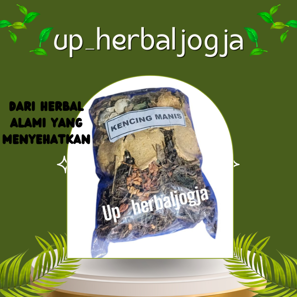 

jamu godok mengatasi Kencing Manis/ Up Herbal Jogja/ pahitan
