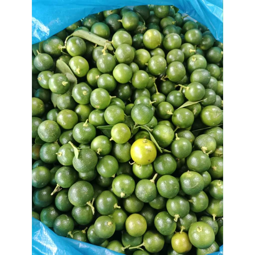 

Jeruk Sonkit / Jeruk Kasturi Segar - 500 Gram