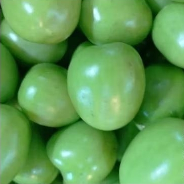 

Tomat Hijau 500 gram