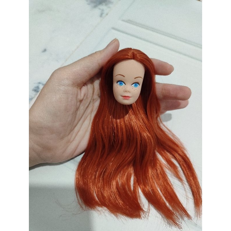 Kepala Boneka Barbie Collector