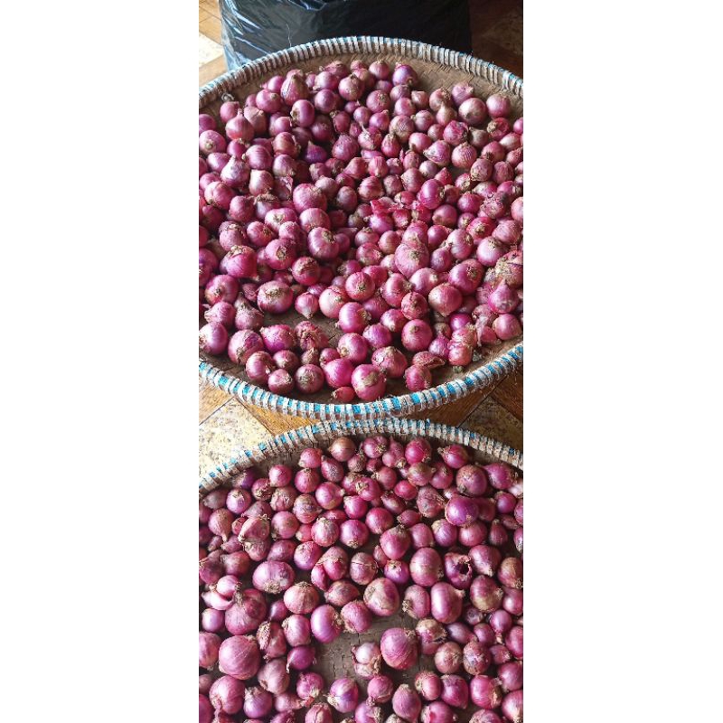 

bawang merah lokal super batu ijo/bali karet termurah