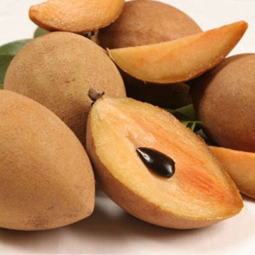 

buah sawo simadu mangkel tua manis dan segar 1 kg