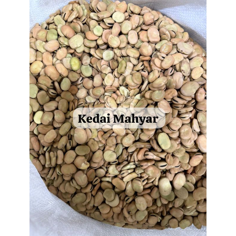 

PROMO!! Kacang Foul/Fava Bean import