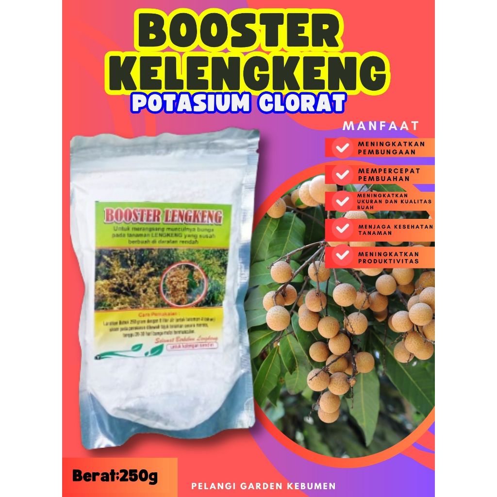 PALING LARIS ! Booster Buah Kelengkeng Murni, Booster Buah Kelengkeng Murni 1Kg, Booster Buah Keleng
