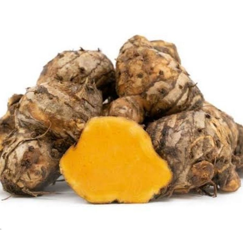 

Empu temulawak biang temulawak induk temulawak 500 gram
