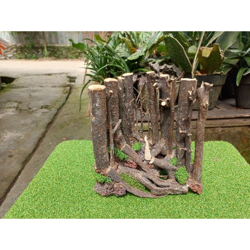 harscape jungle mini aquascape